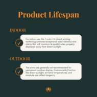 Lifespan